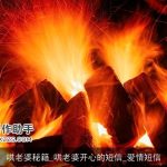 哄老婆秘籍_哄老婆开心的短信_爱情短信