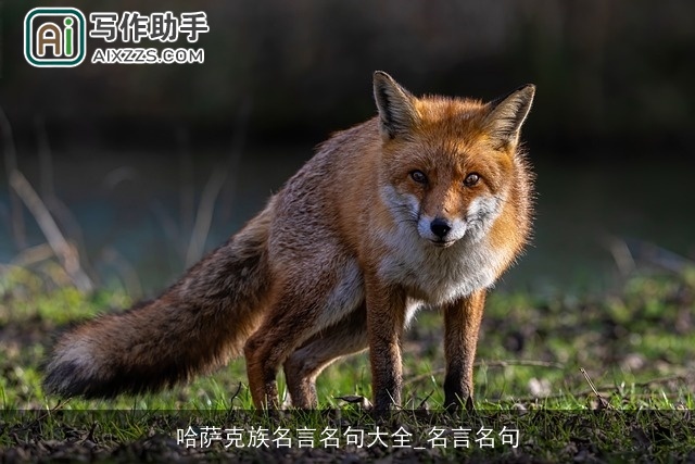 哈萨克族名言名句大全_名言名句