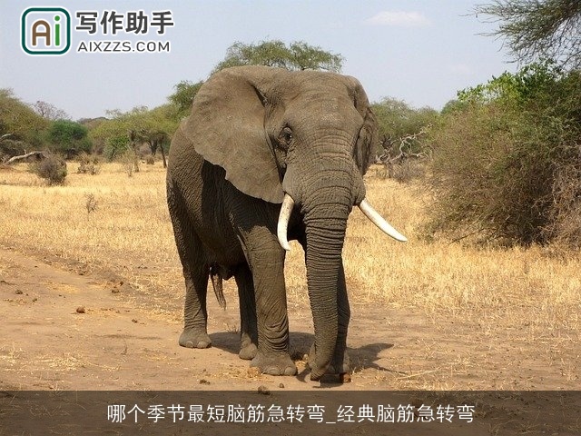 哪个季节最短脑筋急转弯_经典脑筋急转弯