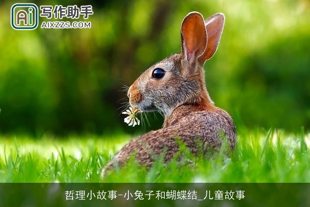 哲理小故事-小兔子和蝴蝶结_儿童故事
