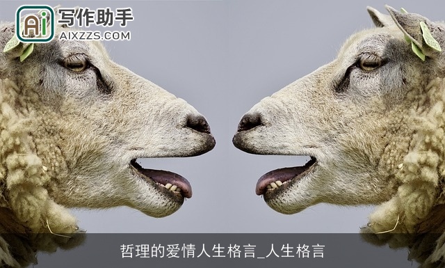 哲理的爱情人生格言_人生格言