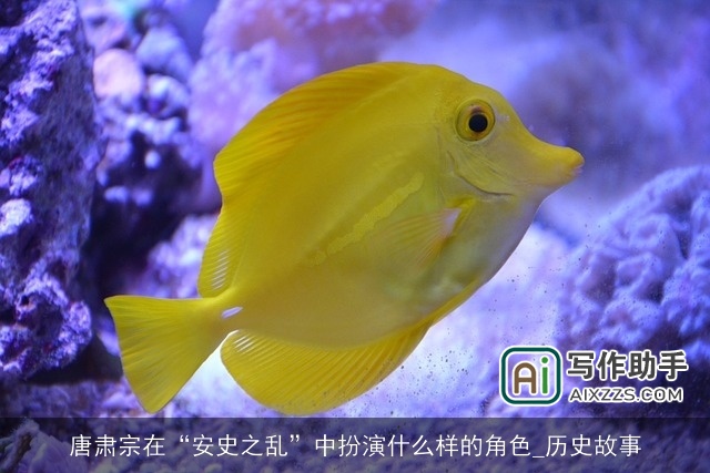 唐肃宗在“安史之乱”中扮演什么样的角色_历史故事