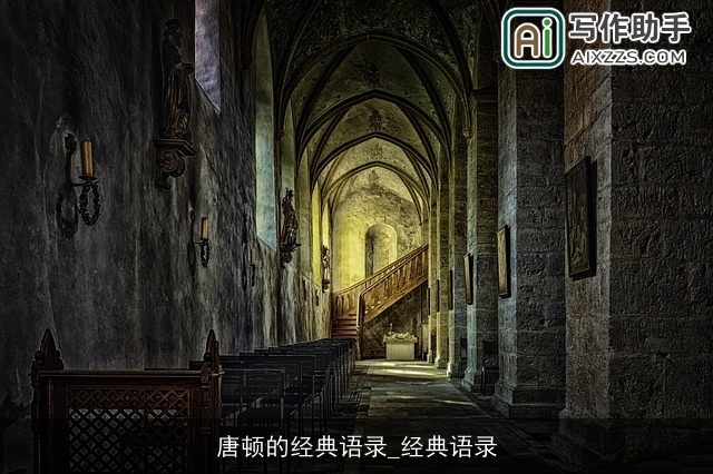 唐顿的经典语录_经典语录