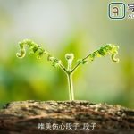 唯美伤心段子_段子