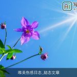 唯美伤感日志_励志文章