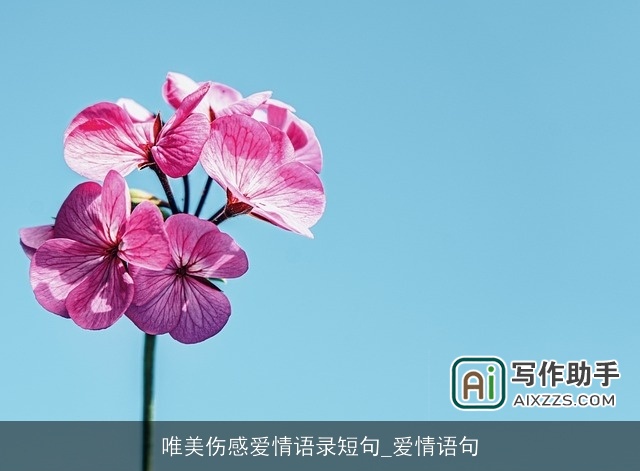 唯美伤感爱情语录短句_爱情语句