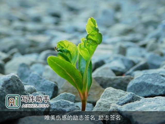 唯美伤感的励志签名_励志签名