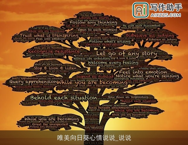 唯美向日葵心情说说_说说