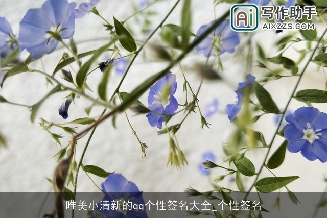 唯美小清新的qq个性签名大全_个性签名