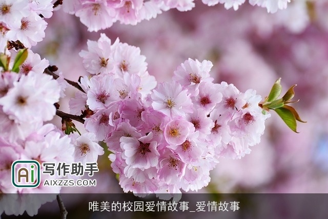 唯美的校园爱情故事_爱情故事