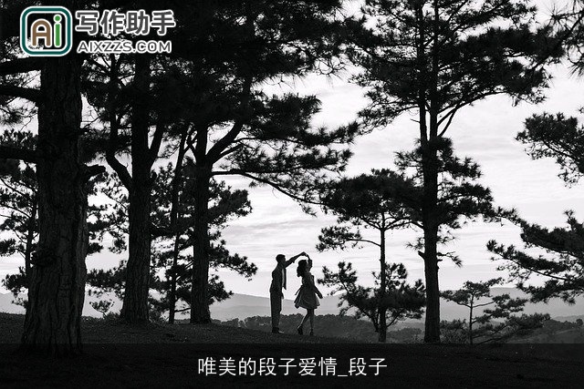 唯美的段子爱情_段子