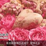 唯美的爱情伤感句子_爱情名言