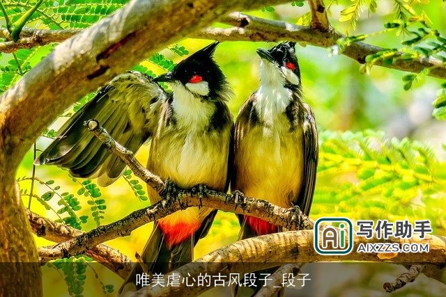 唯美虐心的古风段子_段子