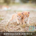 嚢萤映雪的成语故事_成语故事大全