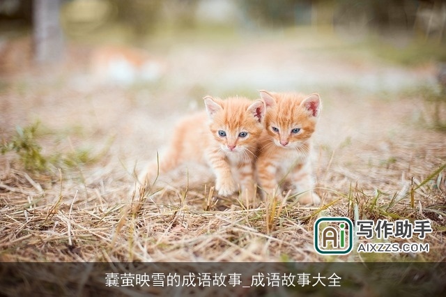 嚢萤映雪的成语故事_成语故事大全
