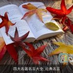 四大名著名言大全_经典名言