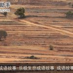 四字成语故事-乐极生悲成语故事_成语故事大全