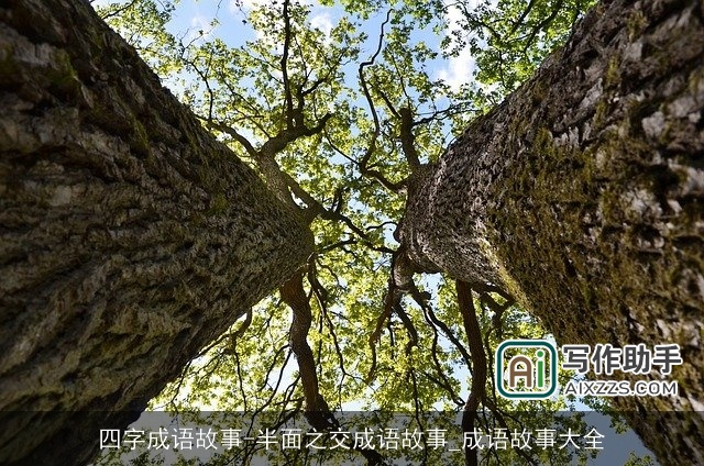 四字成语故事-半面之交成语故事_成语故事大全