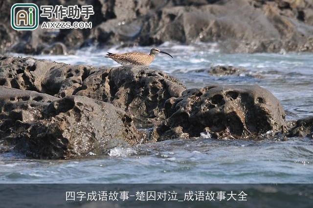 四字成语故事-楚囚对泣_成语故事大全