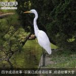 四字成语故事-羽翼已成成语故事_成语故事大全