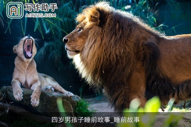 四岁男孩子睡前故事_睡前故事