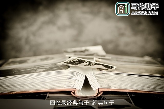 回忆录经典句子_经典句子