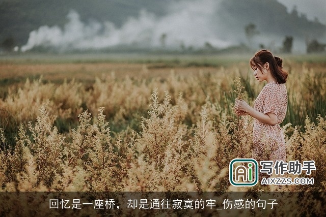 回忆是一座桥，却是通往寂寞的牢_伤感的句子