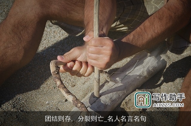 团结则存, 分裂则亡_名人名言名句