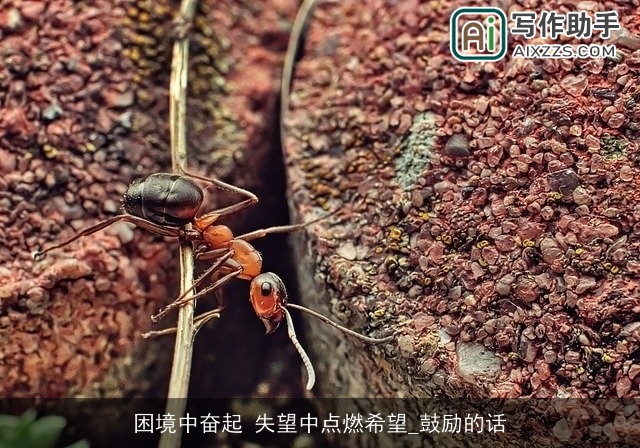 困境中奋起 失望中点燃希望_鼓励的话