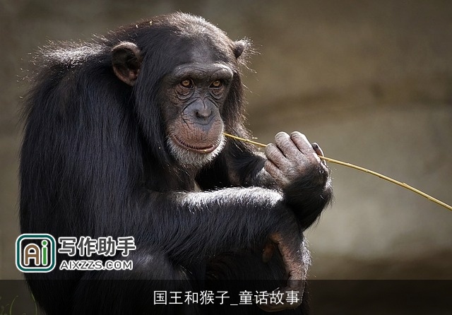 国王和猴子_童话故事