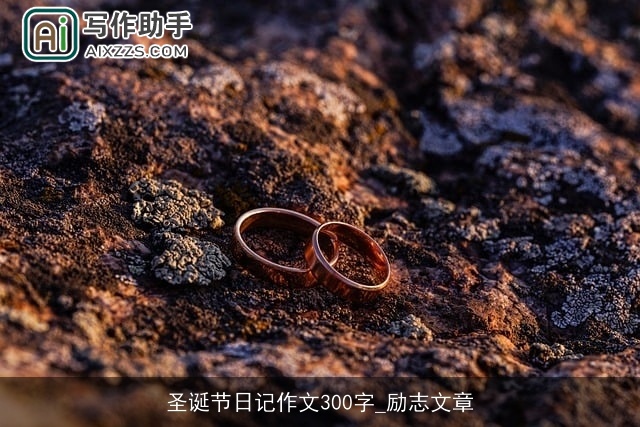 圣诞节日记作文300字_励志文章