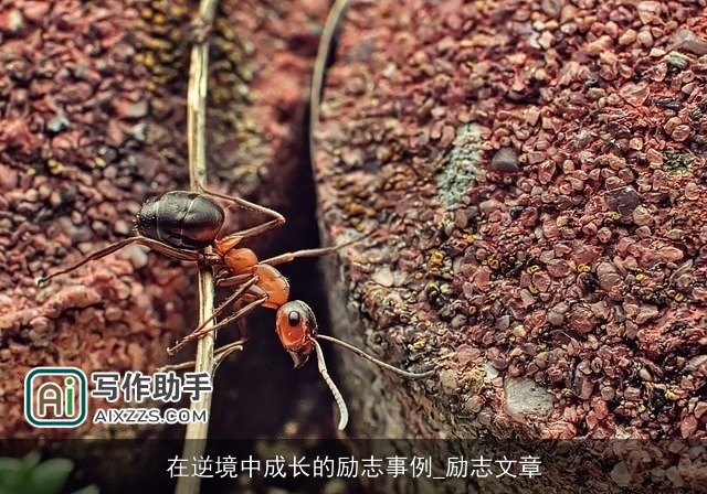 在逆境中成长的励志事例_励志文章