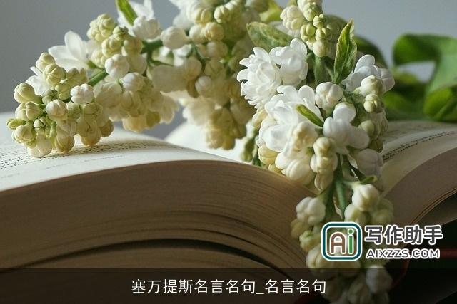 塞万提斯名言名句_名言名句