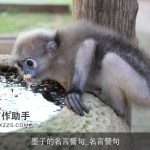 墨子的名言警句_名言警句
