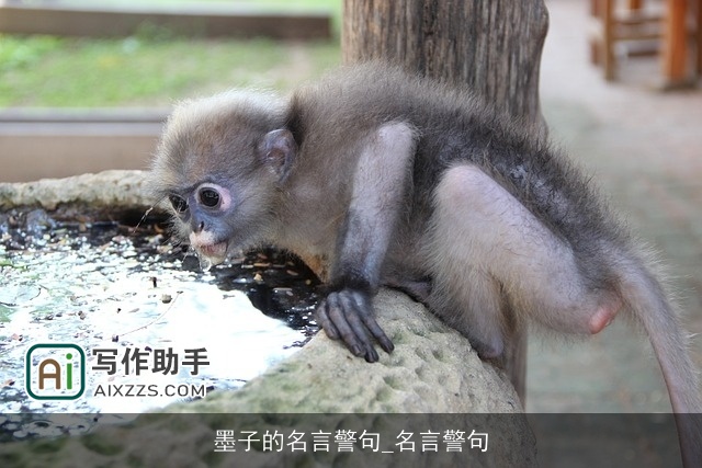 墨子的名言警句_名言警句