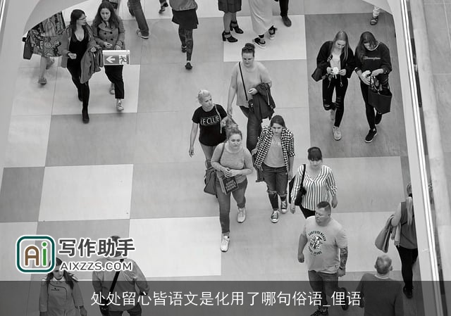 处处留心皆语文是化用了哪句俗语_俚语