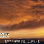 夏季节气谷雨的谚语大全_谚语大全