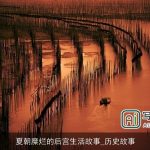 夏朝糜烂的后宫生活故事_历史故事