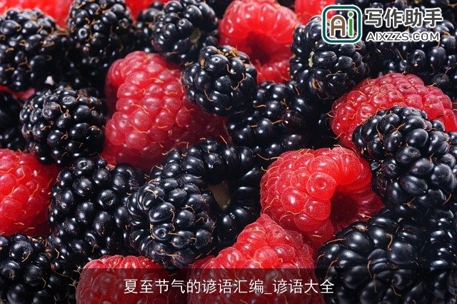 夏至节气的谚语汇编_谚语大全