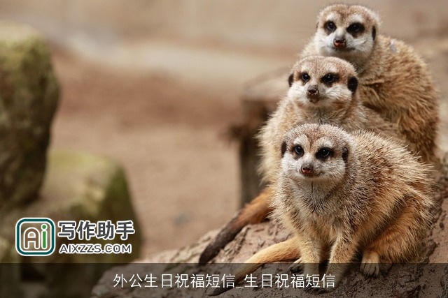 外公生日祝福短信_生日祝福短信