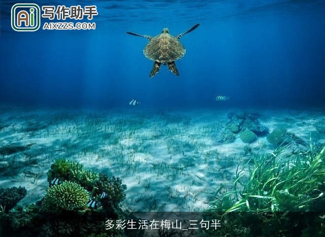 多彩生活在梅山_三句半