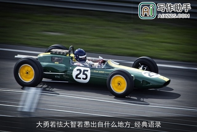 大勇若怯大智若愚出自什么地方_经典语录