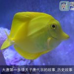 大唐第一多情天子唐代宗的故事_历史故事