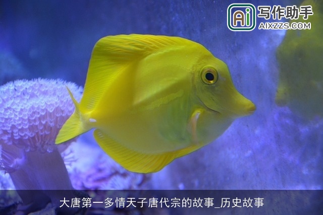 大唐第一多情天子唐代宗的故事_历史故事