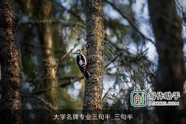 大学名牌专业三句半_三句半