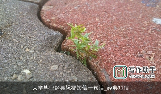 大学毕业经典祝福短信一句话_经典短信