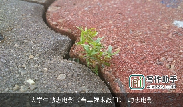 大学生励志电影《当幸福来敲门》_励志电影