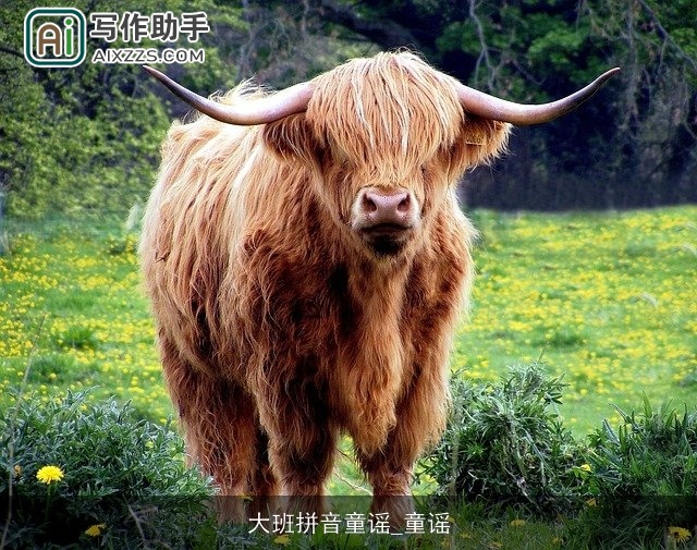 大班拼音童谣_童谣