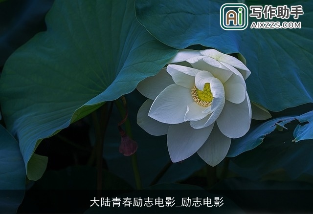 大陆青春励志电影_励志电影