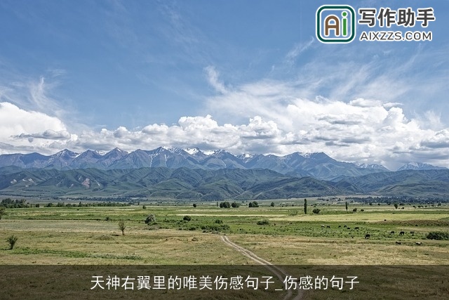 天神右翼里的唯美伤感句子_伤感的句子